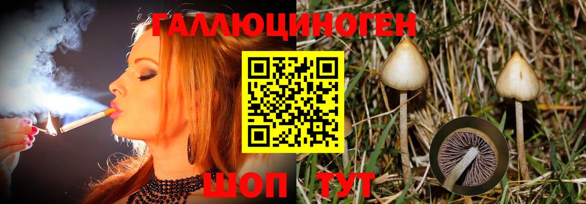 Псилоцибиновые грибы мухоморы Шахты