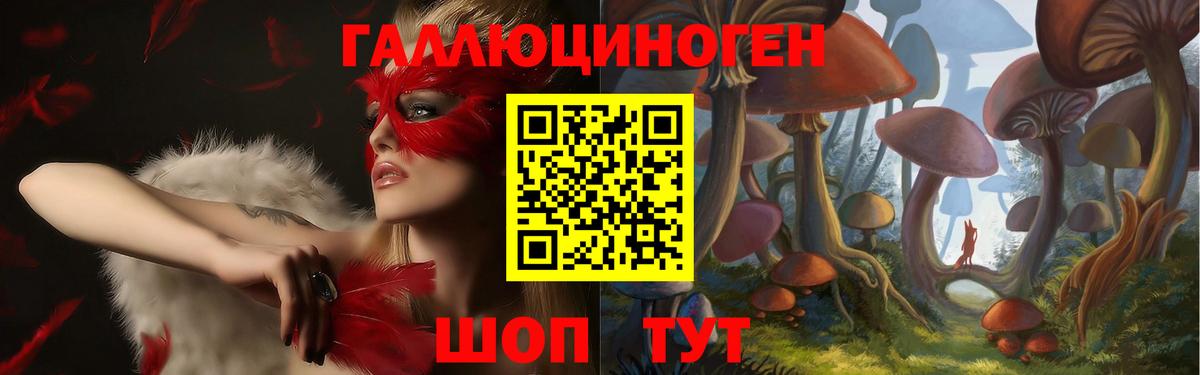 Псилоцибиновые грибы прущие грибы Шахты
